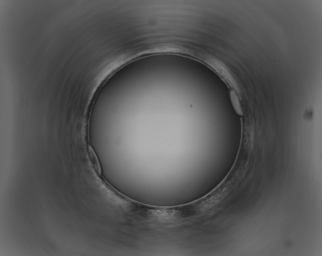X0000091520805200708241649