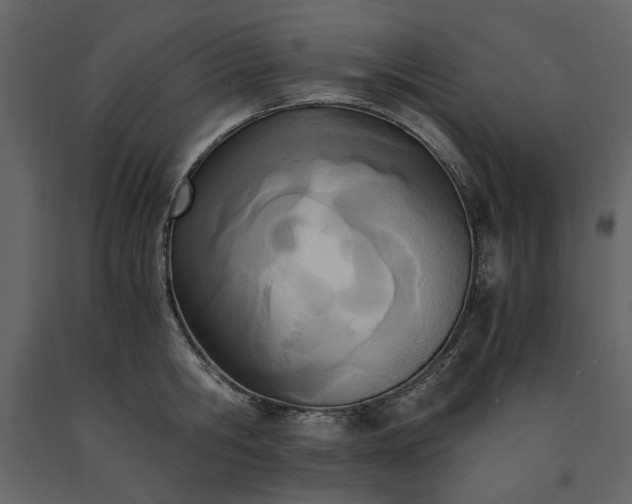 X0000091520806200708241648