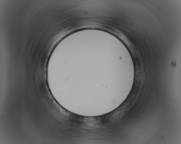 X0000091520807200708241648