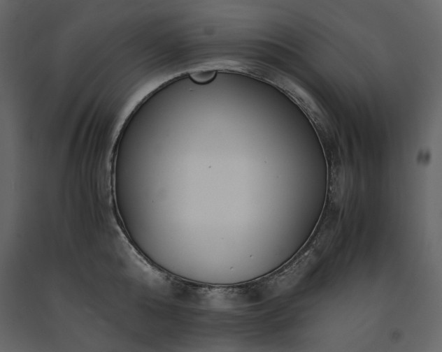 X0000091520808200708241648