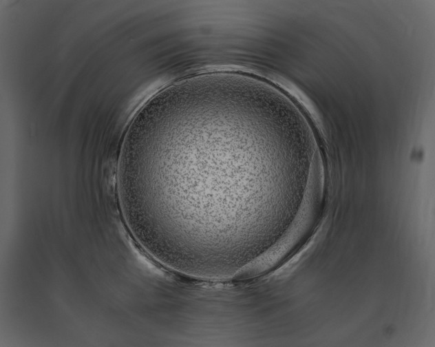 X0000091520809200708241648