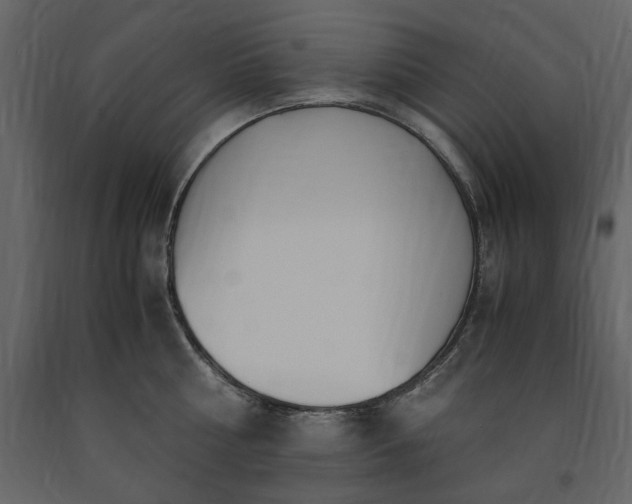 X0000091520810200708241648
