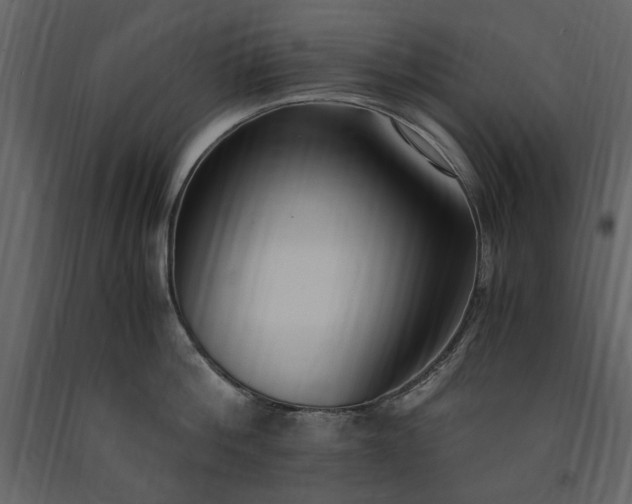 X0000091520812200708241648