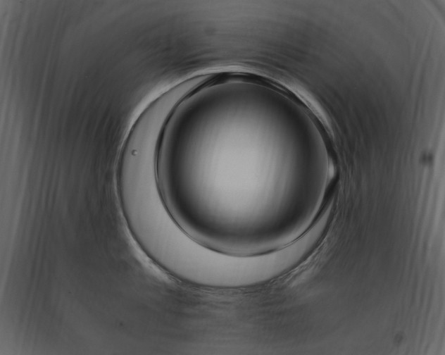 X0000091520813200708241648