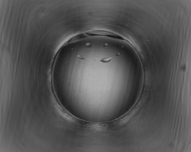 X0000091520814200708241648