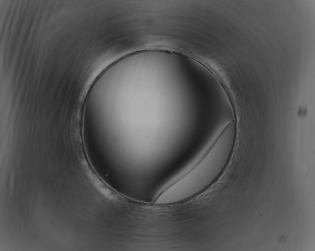 X0000091520816200708241648