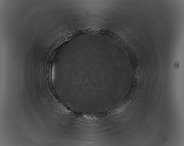 X0000091520818200708241648