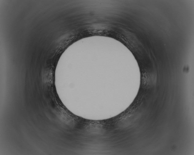 X0000091520820200708241648