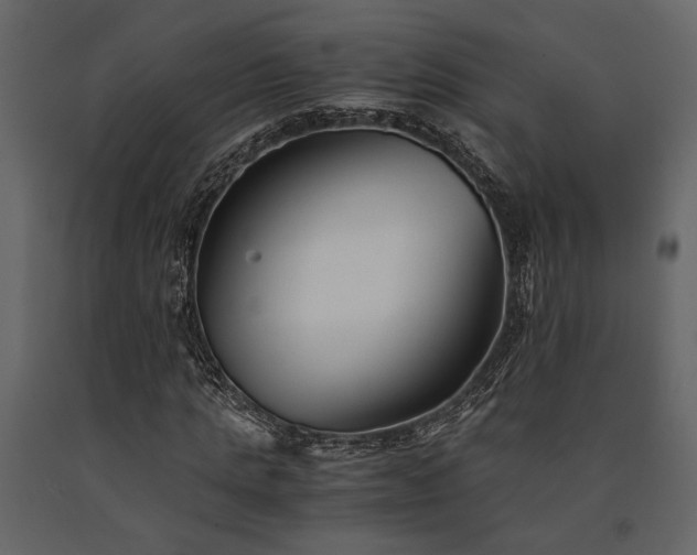 X0000091520821200708241648