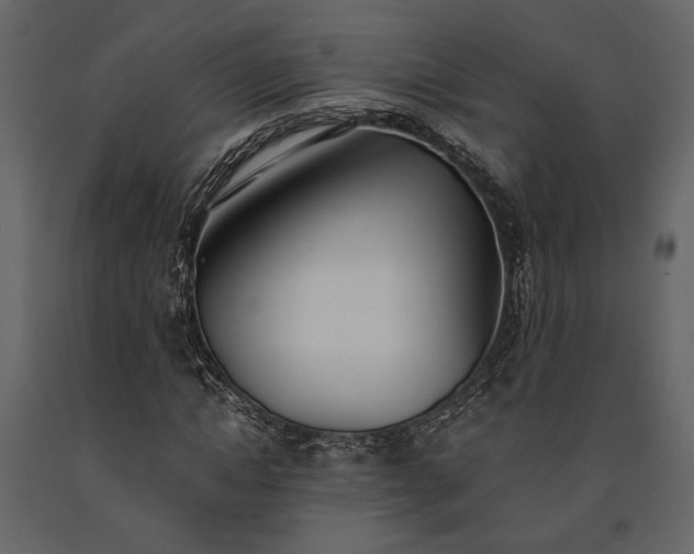 X0000091520822200708241648