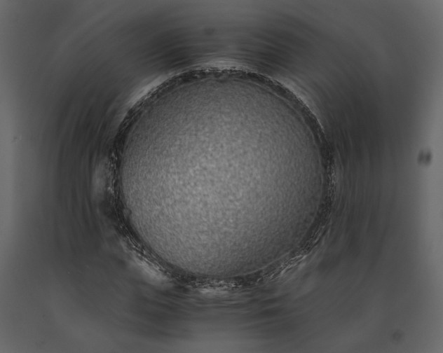 X0000091520823200708241648