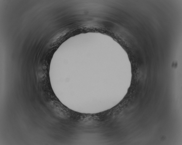 X0000091520824200708241648
