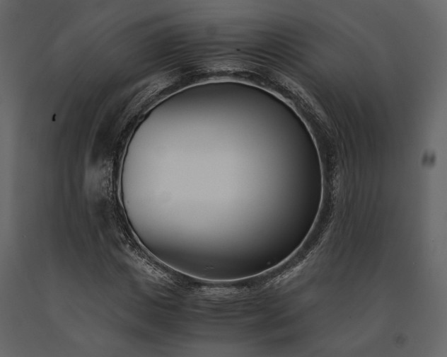 X0000091520825200708241648