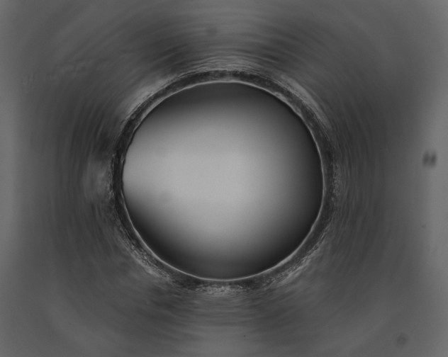 X0000091520826200708241648