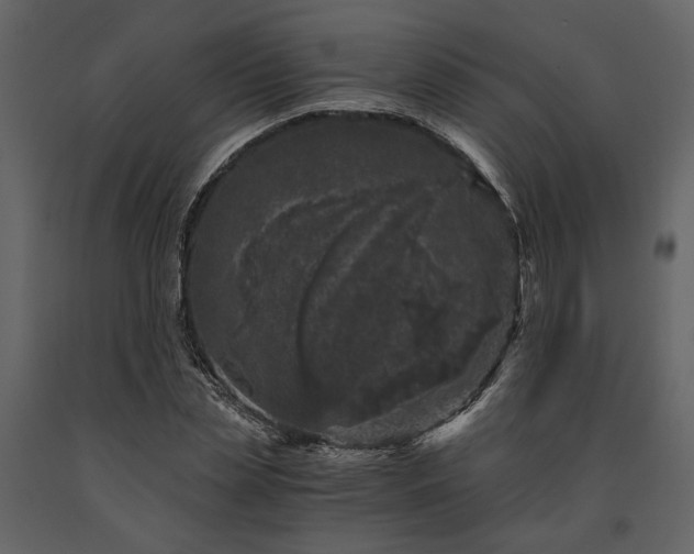 X0000091520829200708241648