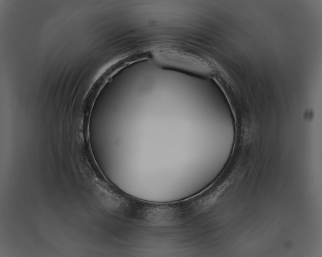 X0000091520830200708241648