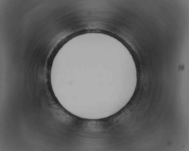 X0000091520832200708241648
