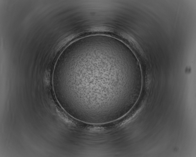 X0000091520833200708241648