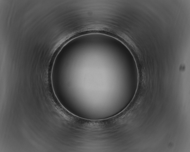 X0000091520834200708241648