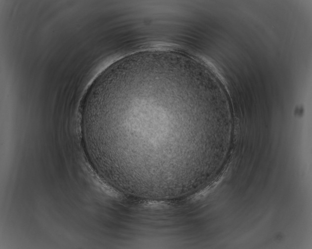 X0000091520835200708241648