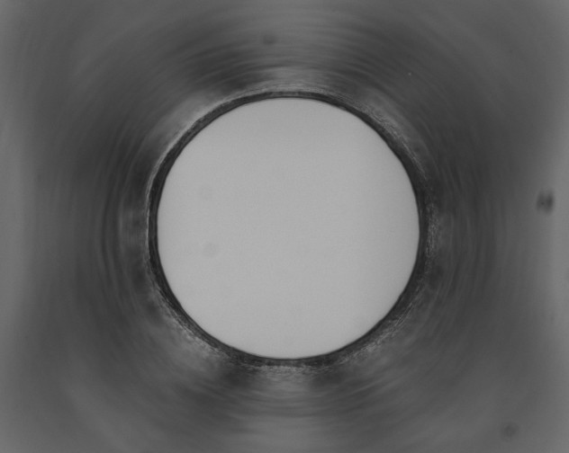 X0000091520836200708241648