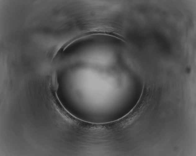 X0000091520838200708241648