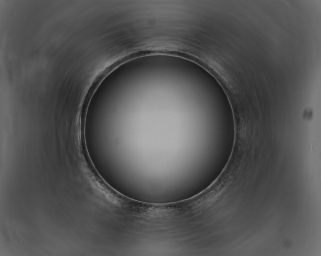 X0000091520840200708241648