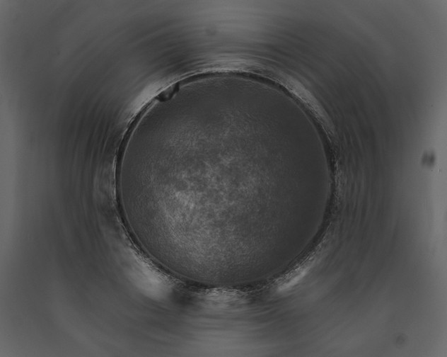 X0000091520842200708241648