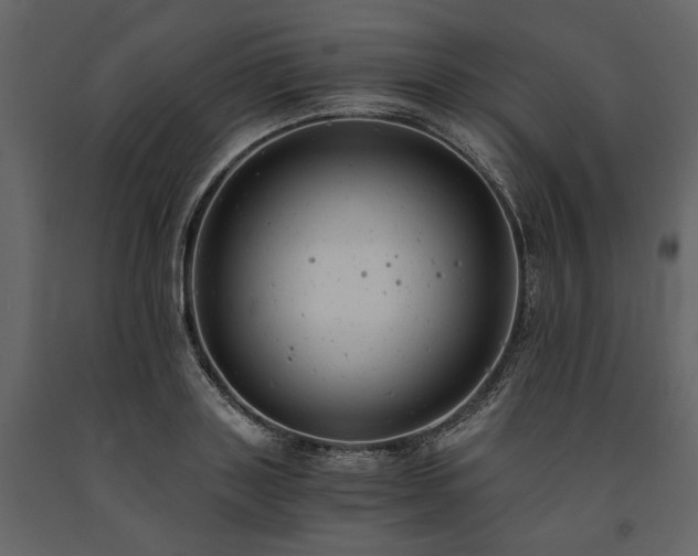 X0000091520843200708241648