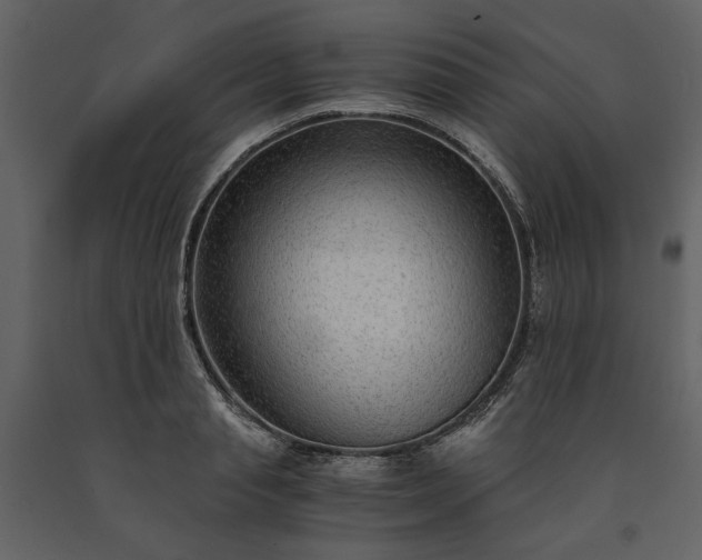 X0000091520845200708241648