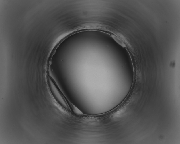 X0000091520846200708241648