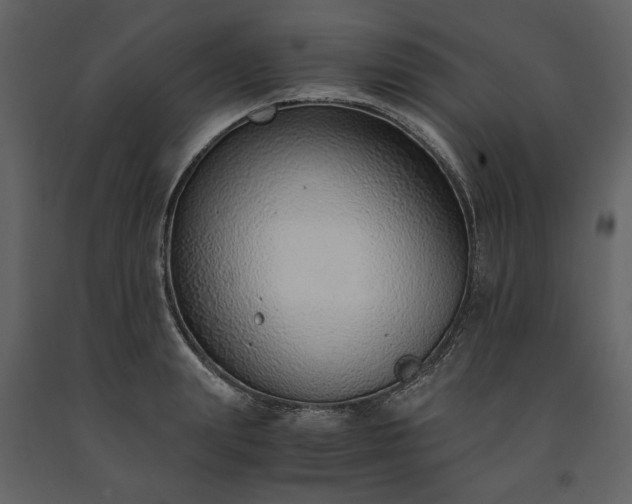 X0000091520847200708241648