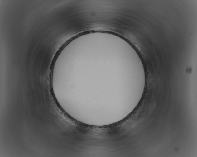 X0000091520848200708241648