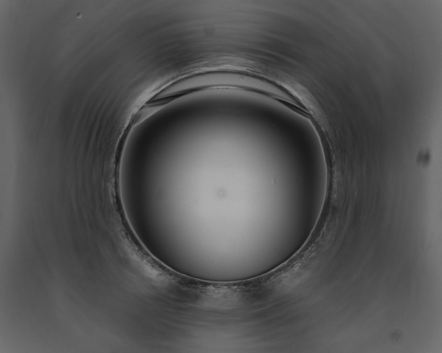 X0000091520850200708241648
