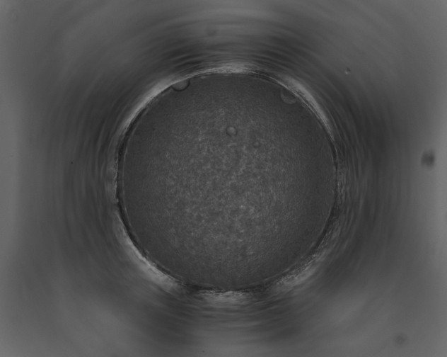 X0000091520851200708241648
