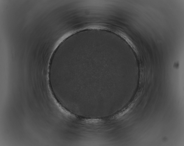 X0000091520853200708241648