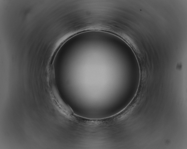 X0000091520854200708241648