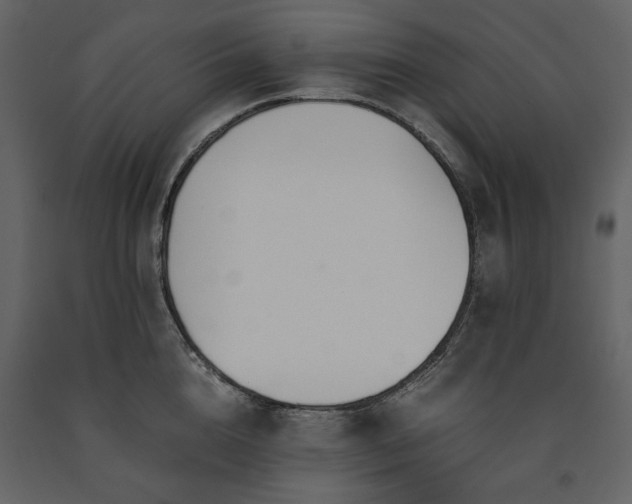 X0000091520856200708241648