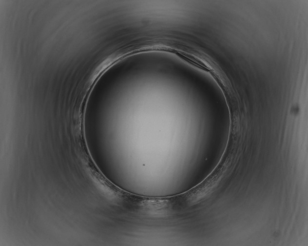 X0000091520858200708241648