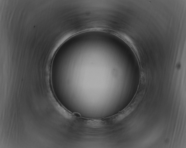 X0000091520859200708241648