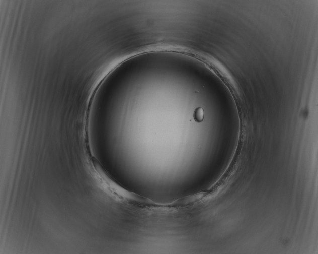 X0000091520860200708241648
