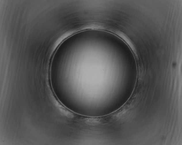 X0000091520861200708241648