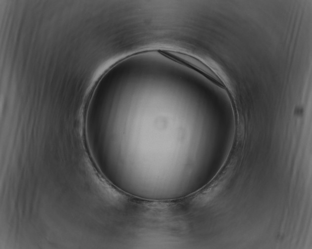 X0000091520862200708241648