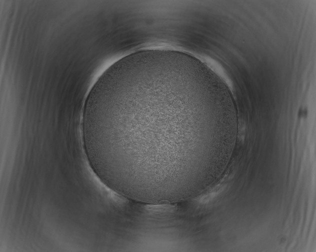 X0000091520863200708241648