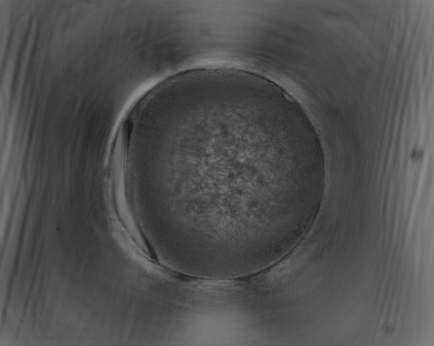 X0000091520864200708241648