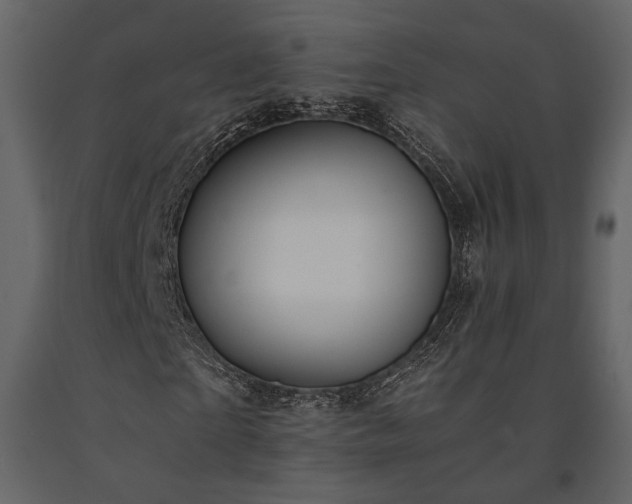 X0000091520865200708241648