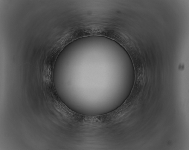 X0000091520866200708241648