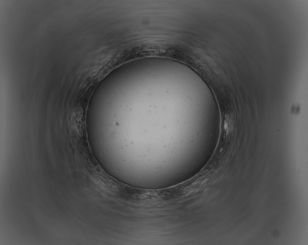 X0000091520867200708241648