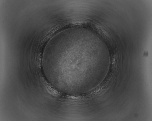 X0000091520868200708241648