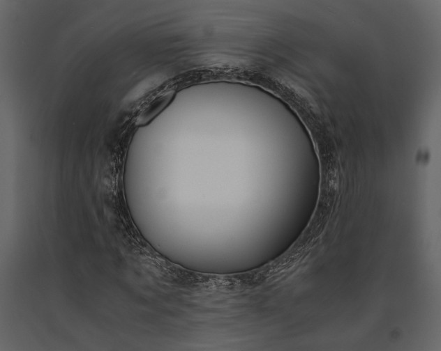 X0000091520869200708241648